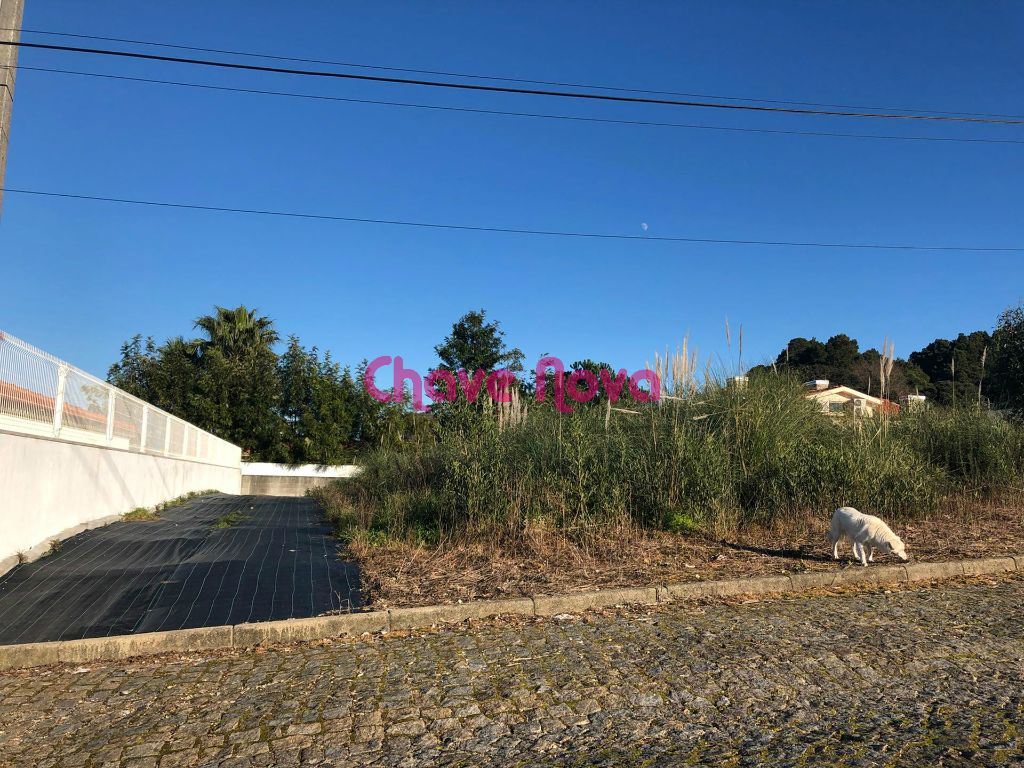 Terreno para Venda em Paços de Brandão