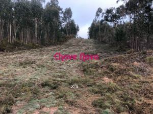 Terreno para construção