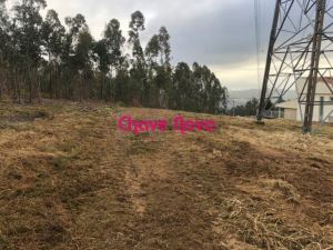Terreno para construção