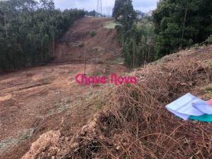 Terreno para construção