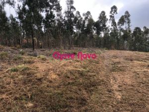 Terreno para construção