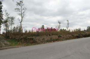 Land for sale in Santa Maria da Feira, Portugal — €700,000