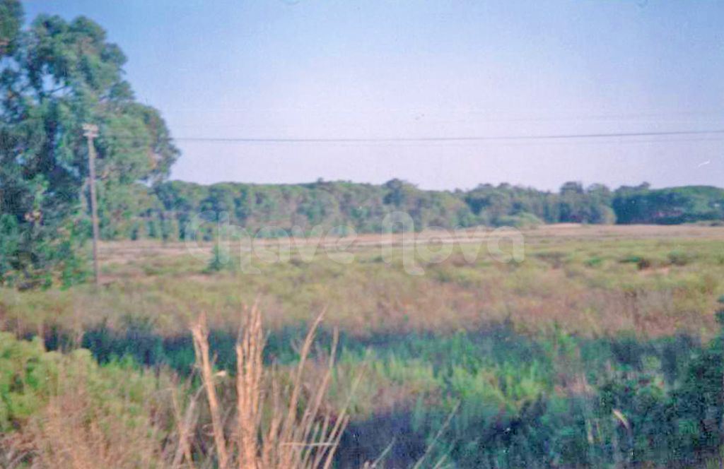 Quinta para Venda em Montenegro