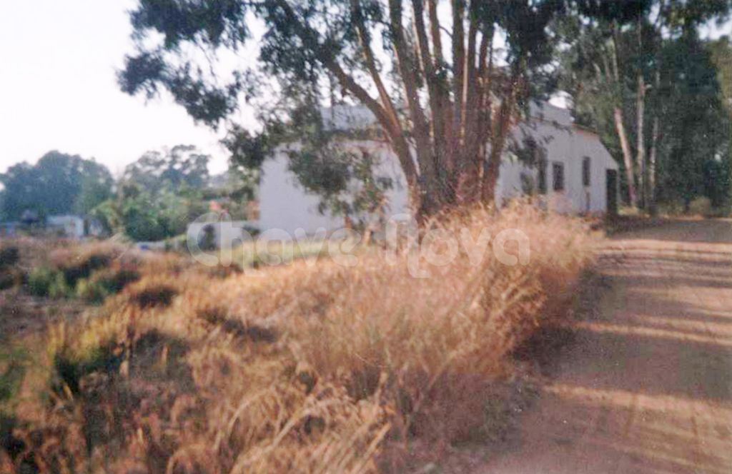 Quinta para Venda em Montenegro