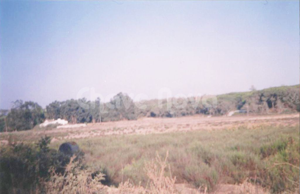 Quinta para Venda em Montenegro