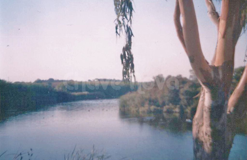 Quinta para Venda em Montenegro