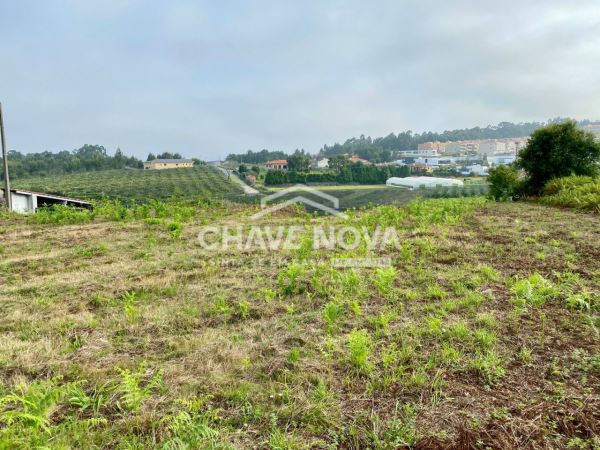 Land for sale in Santa Maria da Feira, Portugal — €65,000