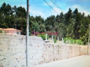 Land for sale in Vila Nova de Gaia, Portugal — €957,000