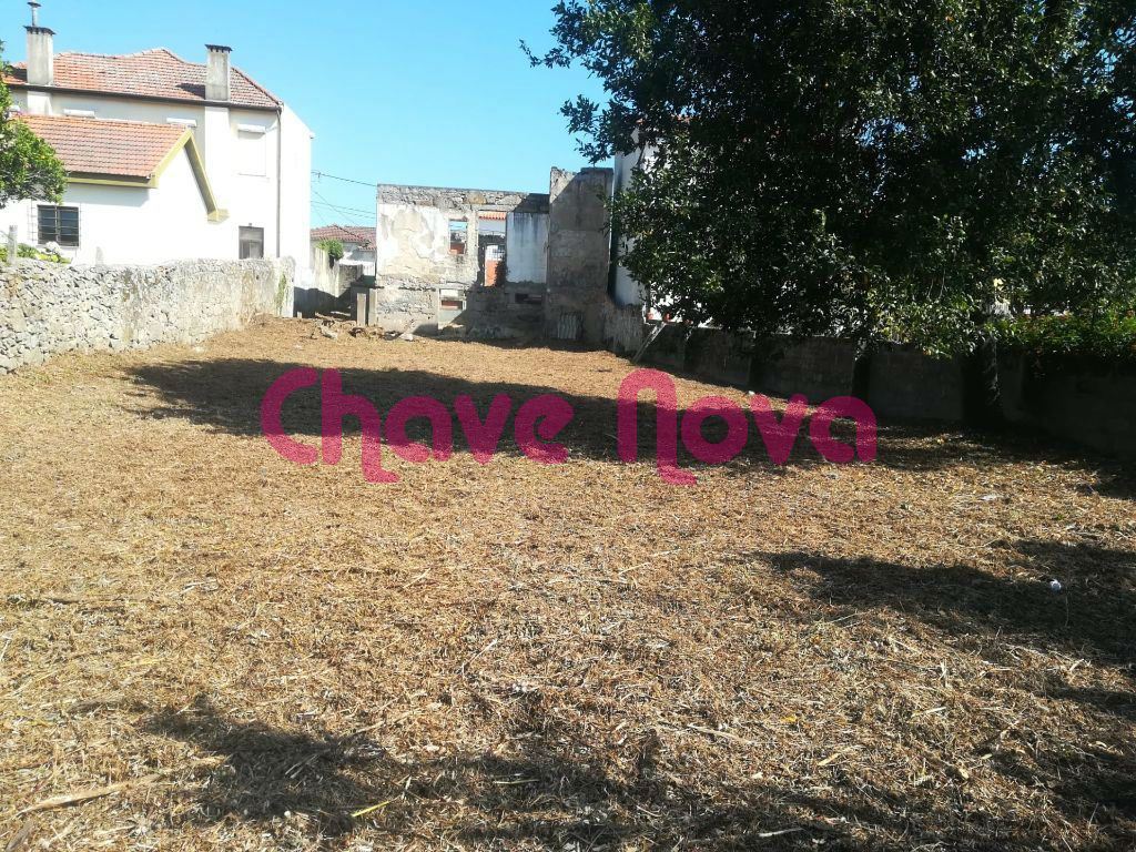 Terreno para Venda em Madalena Foto 2