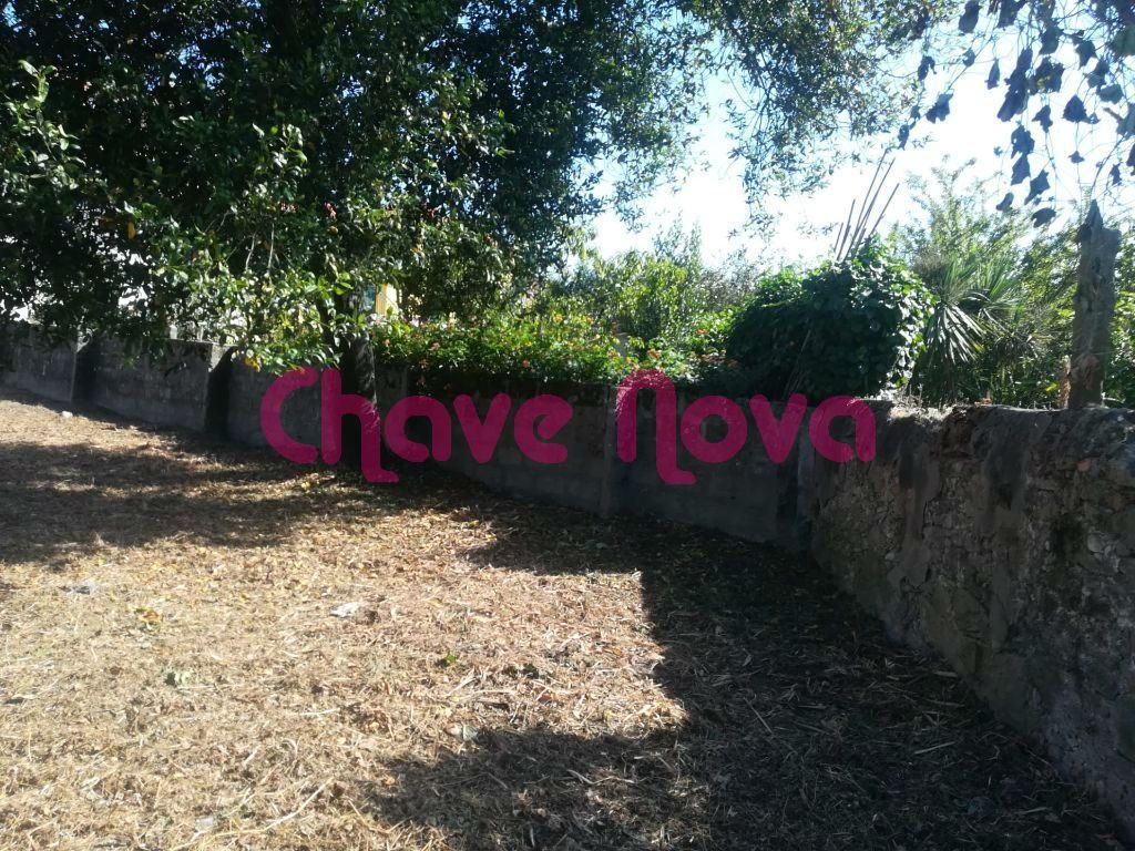 Terreno para Venda em Madalena Foto 4