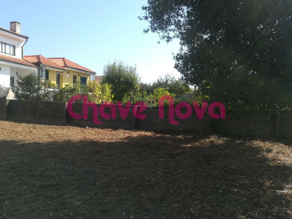 Terreno para Venda em Madalena Foto 5