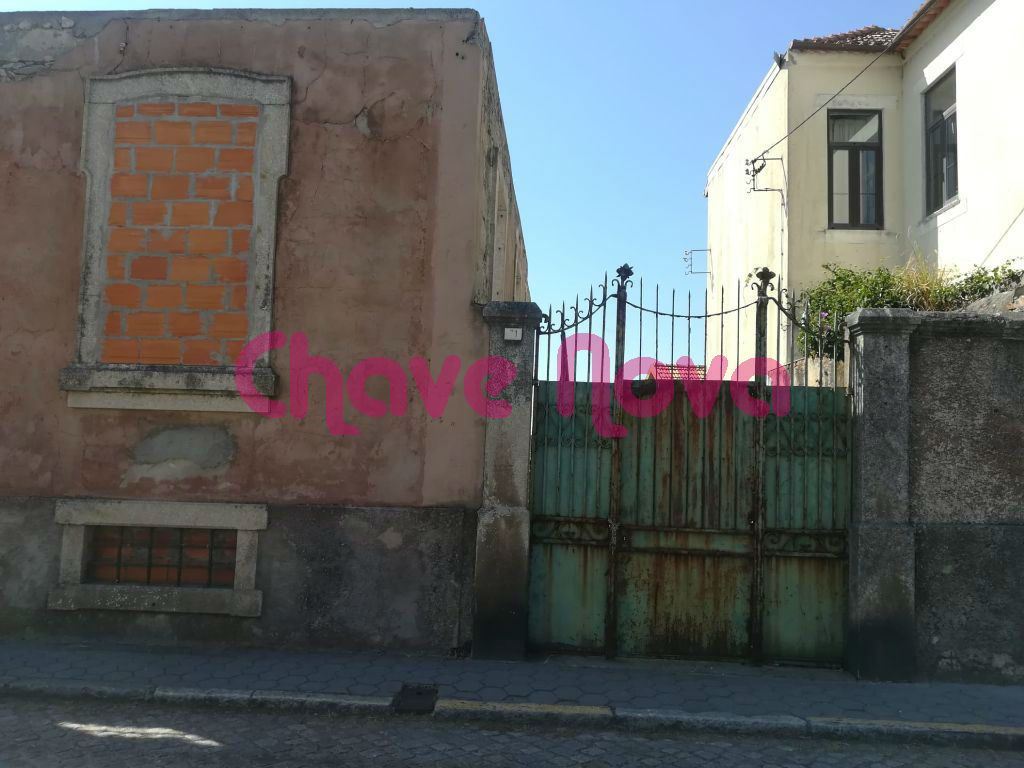 Terreno para Venda em Madalena Foto 14