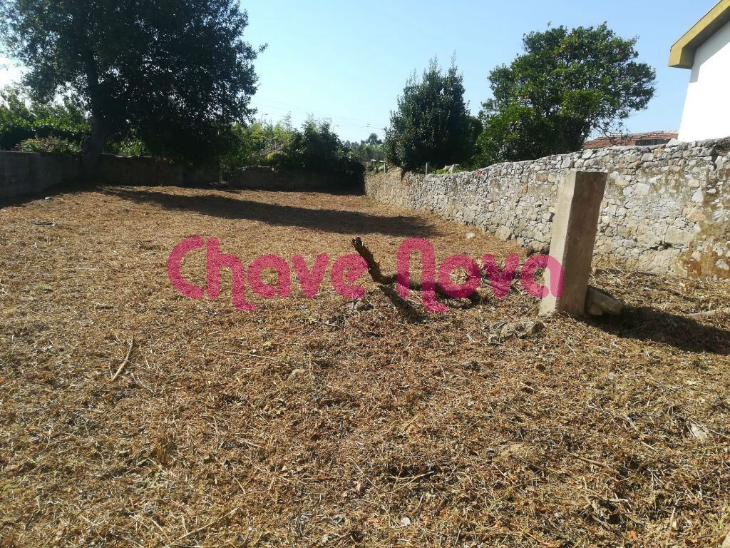 Terreno para Venda em Madalena Foto 17