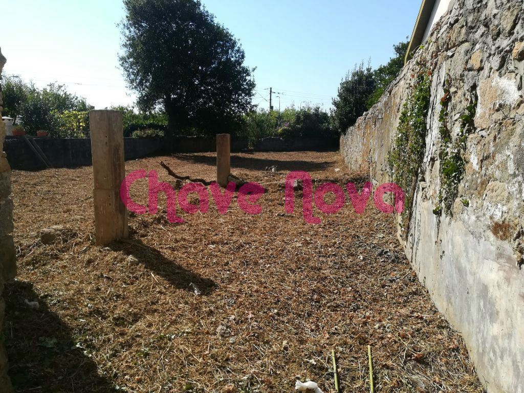 Terreno para Venda em Madalena Foto 20