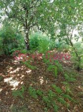 Lot for tween housing, para Sale