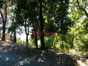 Land for house construction, para Sale