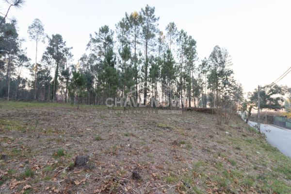 Land for sale in Santa Maria da Feira, Portugal — €116,000