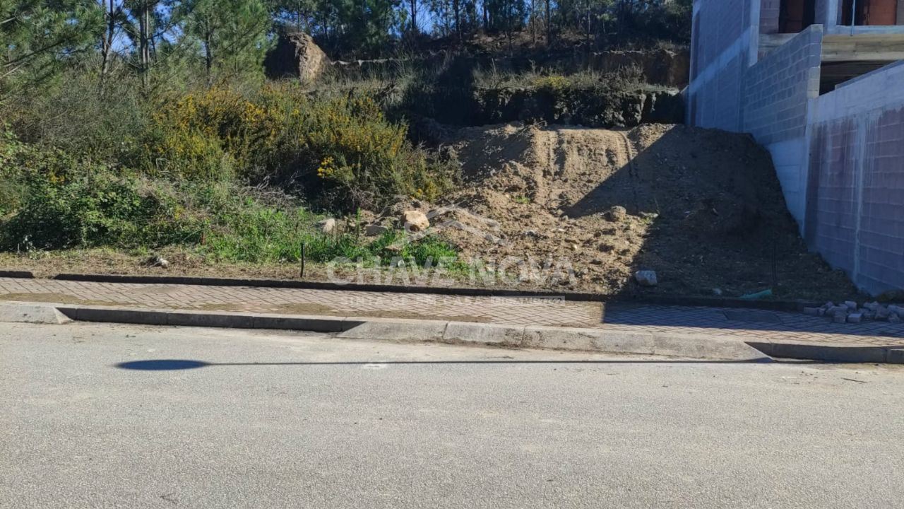 Terreno para Venda em Pinheiro da Bemposta, Travanca e Palmaz