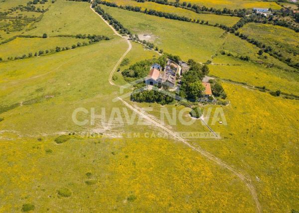 Bodega T4, para Compra