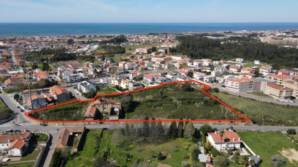 Bodega T6, para Compra