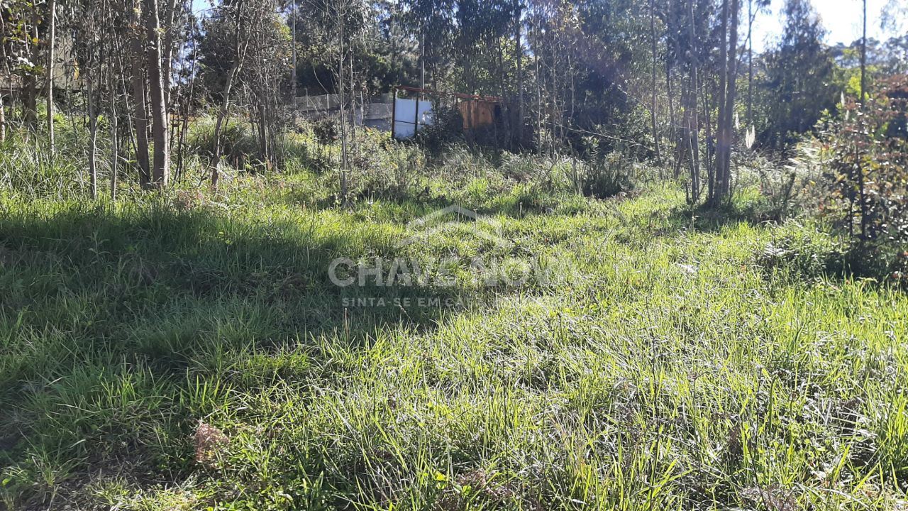 Terreno para Venda em Arcozelo