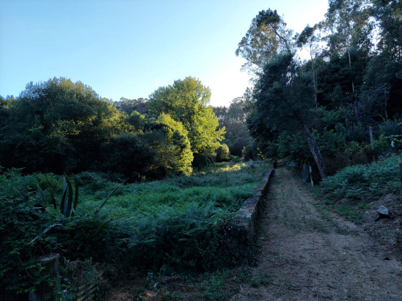 Terreno Agrícola 3500m2