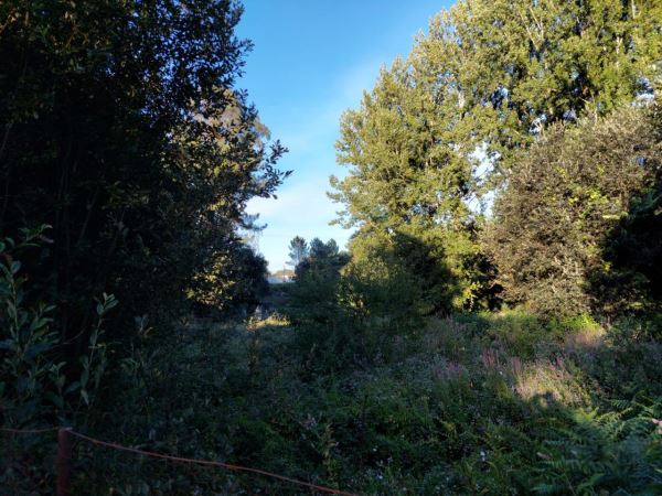 Terreno Agrícola 3500m2