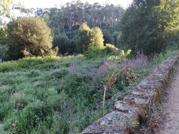 Terreno Agrícola 3500m2