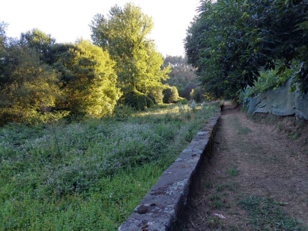Terreno Agrícola 3500m2