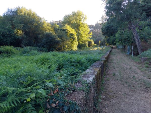 Terreno Agrícola 3500m2
