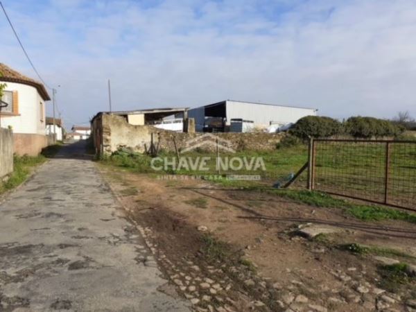 Land for sale in Oliveira de Azeméis, Portugal — €115,000