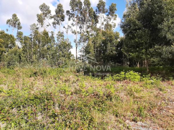 Land for sale in Santa Maria da Feira, Portugal — €130,000