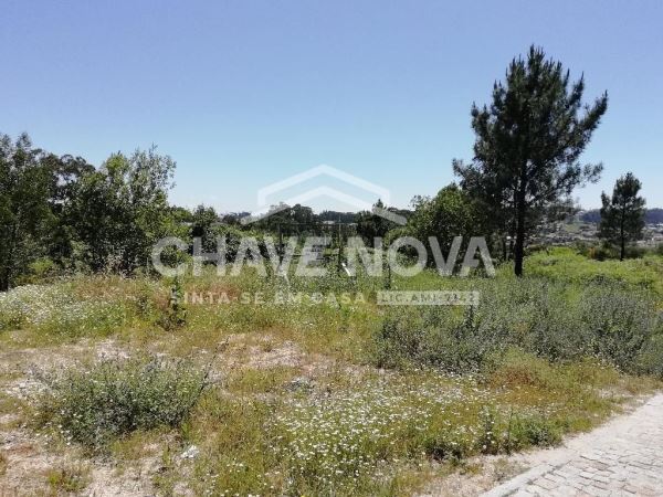 Land for sale in Paredes, Portugal — €157,000