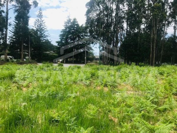 Land for sale in Vila Nova de Gaia, Portugal — €75,000