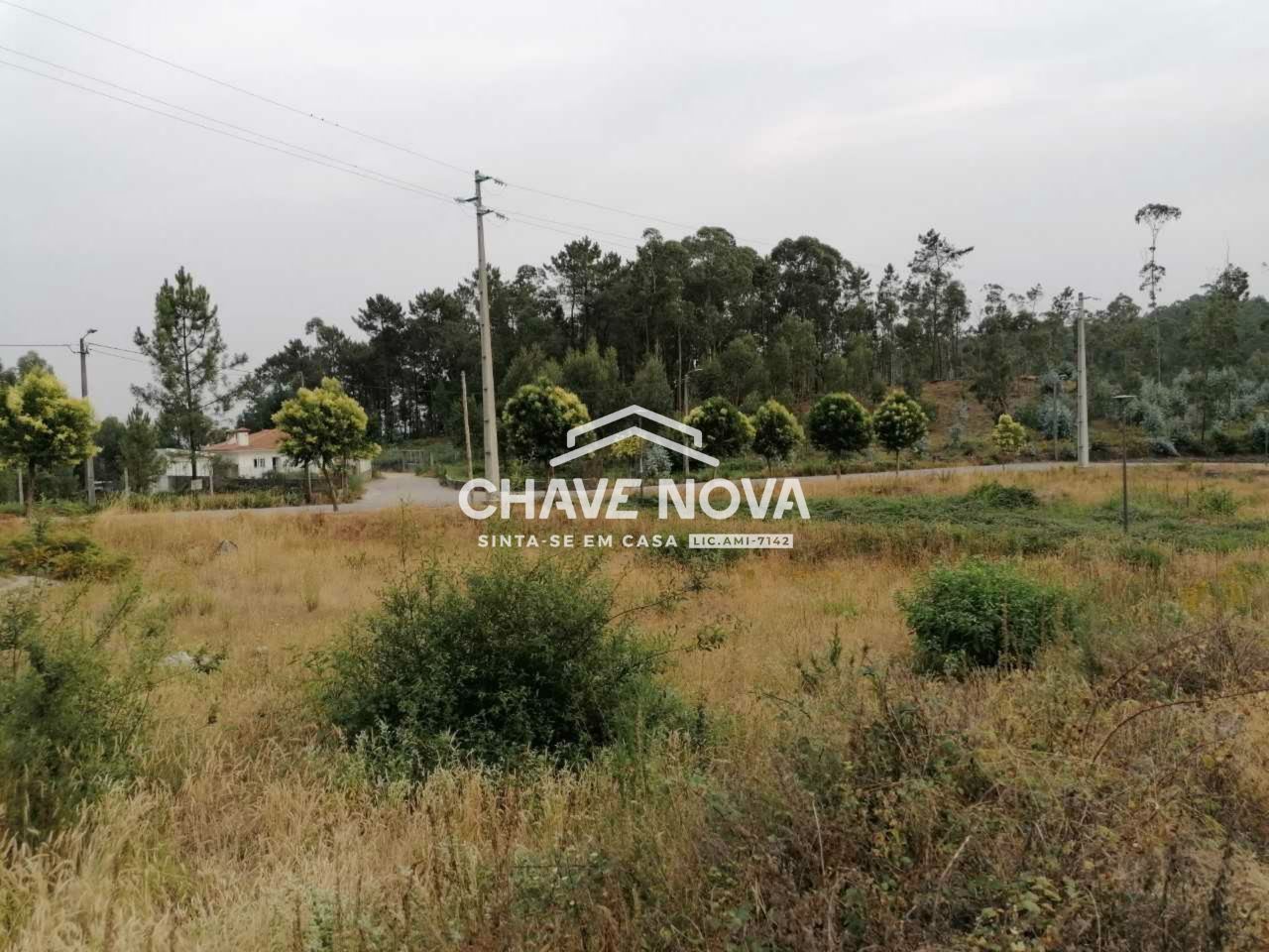 Terreno para Venda em Fajões