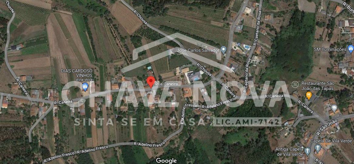 Vinha para Venda em Oliveira do Bairro 