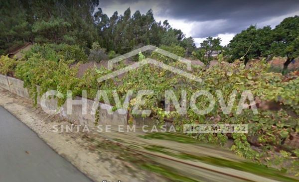 Vinha para Venda em Oliveira do Bairro 
