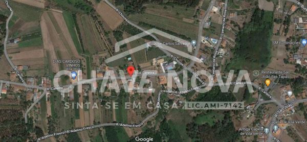 Vinha para Venda em Oliveira do Bairro 