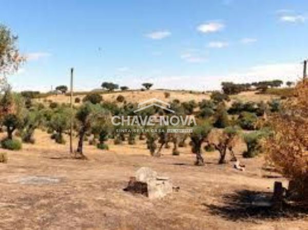 Investimento Herdade da Farizoa e Gaião
