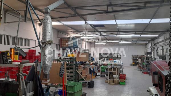 Armazém com 3200 m2 com empresa em funcionamento
