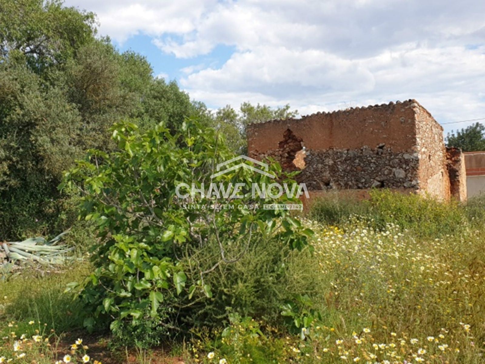 Terreno com 3900m2 c/ Projeto Aprovado em Calvos (Algarve)