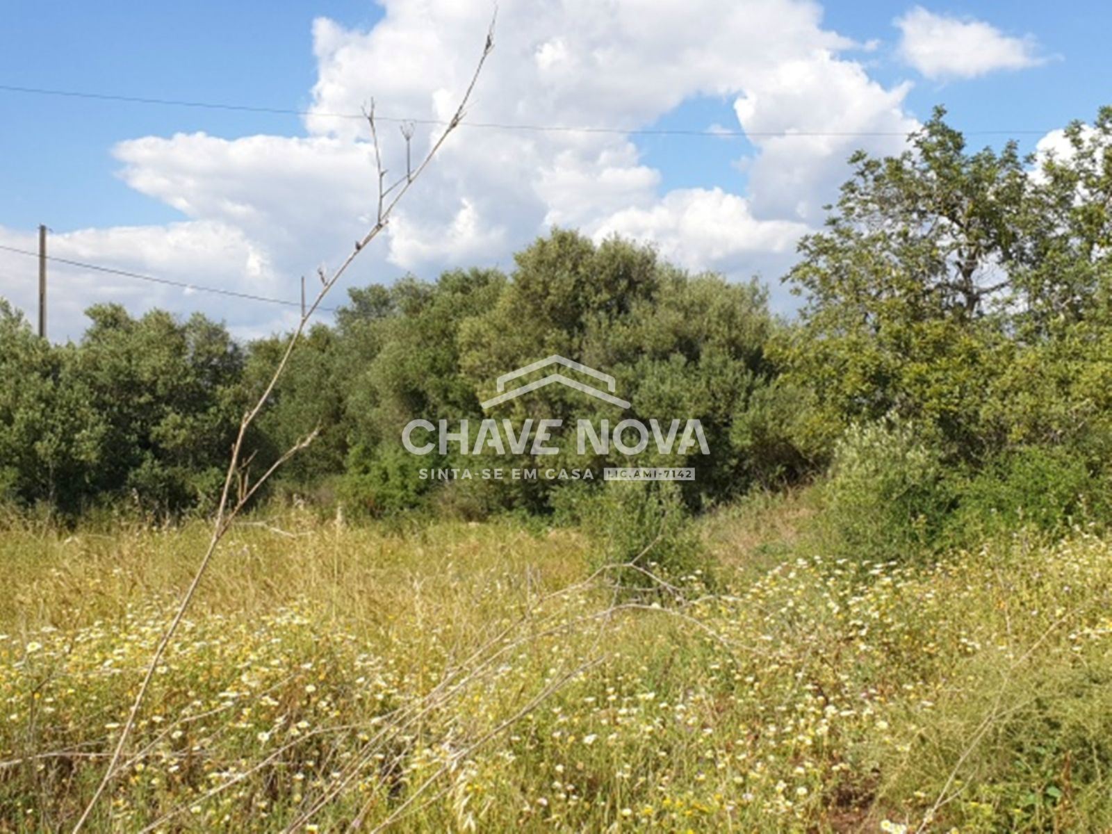 Terreno com 3900m2 c/ Projeto Aprovado em Calvos (Algarve)