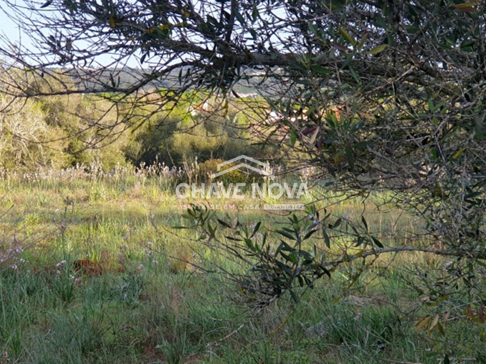 Terreno com 3900m2 c/ Projeto Aprovado em Calvos (Algarve)