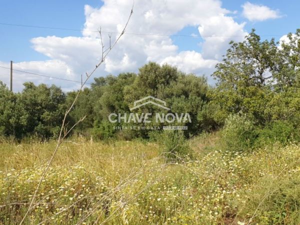Terreno com 3900m2 c/ Projeto Aprovado em Calvos (Algarve)