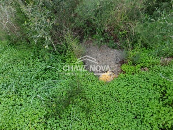 Terreno com 3900m2 c/ Projeto Aprovado em Calvos (Algarve)