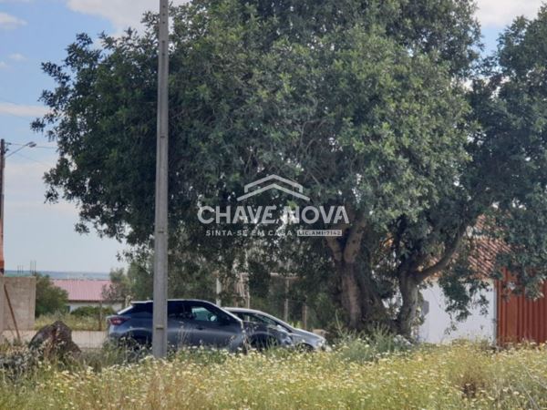 Terreno com 3900m2 c/ Projeto Aprovado em Calvos (Algarve)