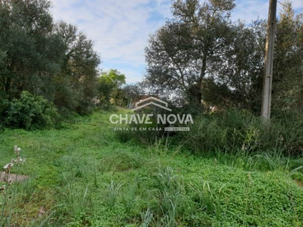 Terreno com 3900m2 c/ Projeto Aprovado em Calvos (Algarve)