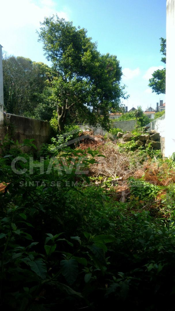 Prédio para Venda em Cedofeita, Santo Ildefonso, Sé, Miragaia, São Nicolau e Vitória
