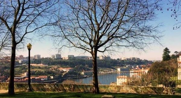 Prédio na zona Histórica do Porto