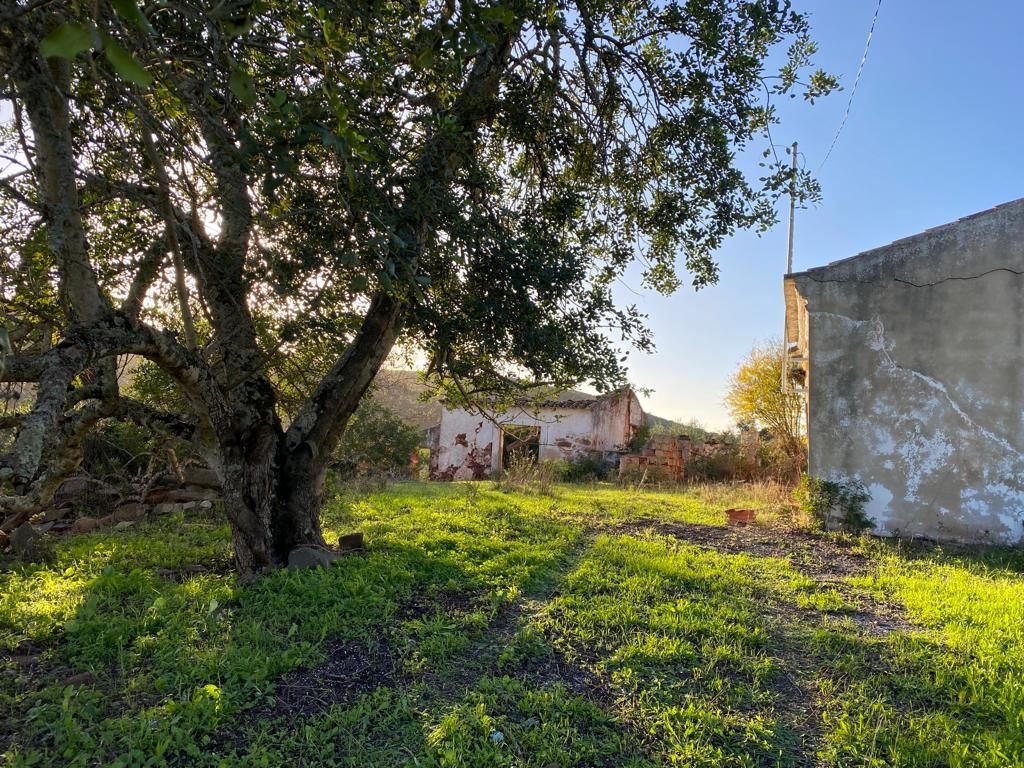 Terreno Misto para Venda em São Brás de Alportel